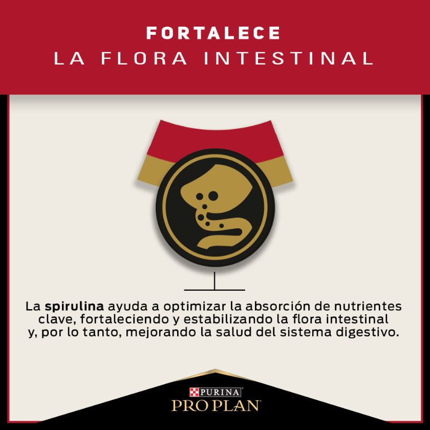 Purina Pro Plan Adult Razas Medianas Con Optihealth 12 Kg