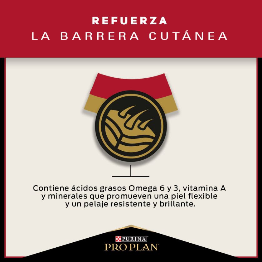 Purina Pro Plan Adult Razas Medianas Con Optihealth 12 Kg