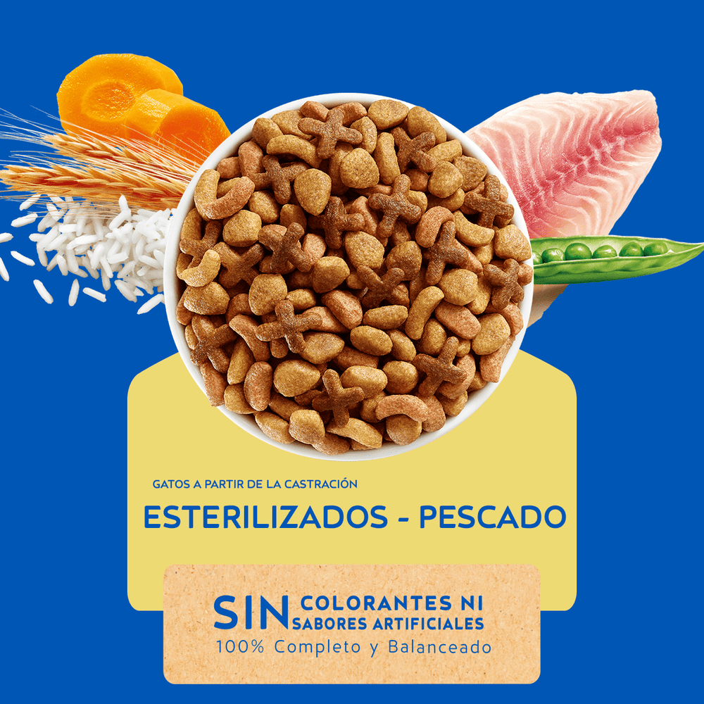 Purina Cat Chow Adultos Esterilizados Con Defense Plus 3Kg