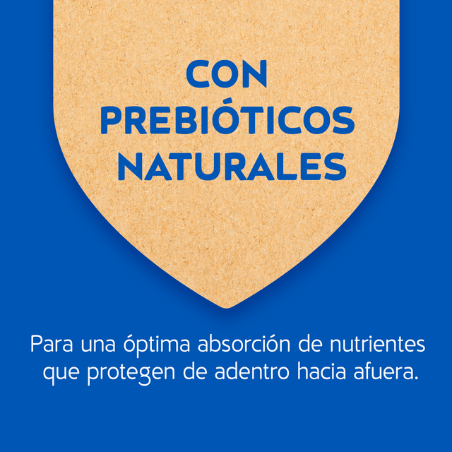 Purina Cat Chow Adultos Esterilizados Con Defense Plus 3Kg  Purina Cat Chow Adultos Esterilizados Con Defense Plus 3Kg