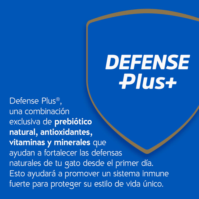 Purina Cat Chow Gatitos 8Kg Purina Cat Chow Gatitos 8Kg