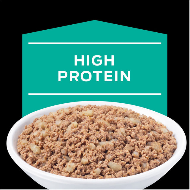 Purina Pro Plan En Gastroenteric Felino Lata 156Gr Pack 6 Unidades  Purina Pro Plan En Gastroenteric Felino Lata 156Gr Pack 6 Unidades