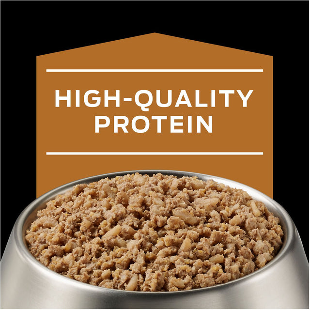 Purina Pro Plan Nf Kidney Function Canino Lata 380Gr  Purina Pro Plan Nf Kidney Function Canino Lata 380Gr