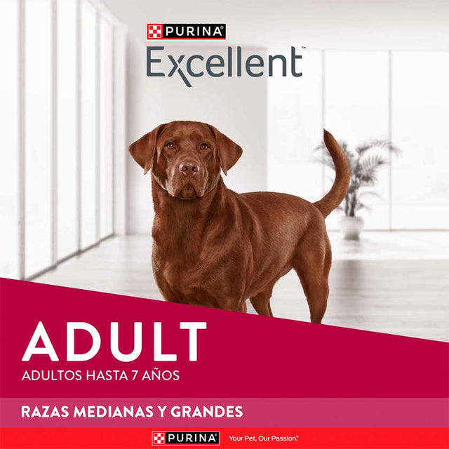 Purina Excellent Adult Chicken Rice Medium Large Breed 15Kg Purina Excellent Adult Chicken Rice Medium Large Breed 15Kg