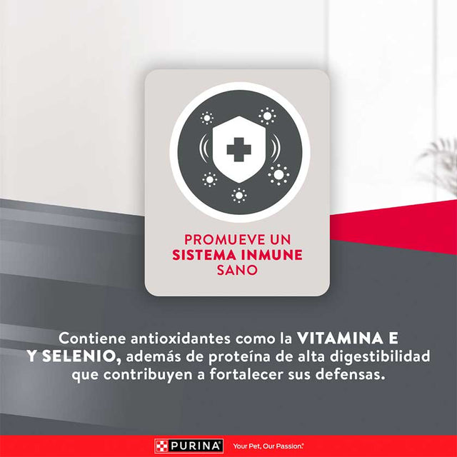 Purina Excellent Adult Chicken Rice Medium Large Breed 15Kg Purina Excellent Adult Chicken Rice Medium Large Breed 15Kg