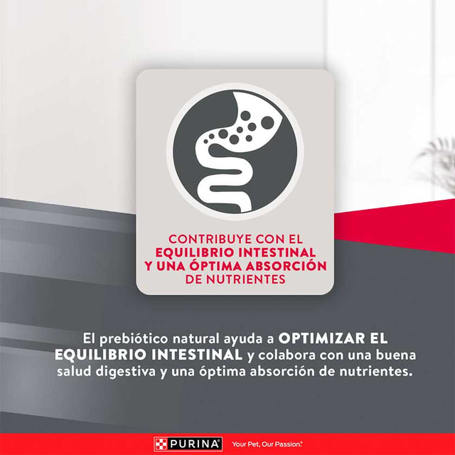 Purina Excellent Adult Chicken Rice Medium Large Breed 15Kg Purina Excellent Adult Chicken Rice Medium Large Breed 15Kg