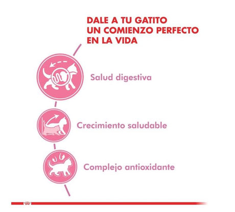 Alimento Seco para Gatos Royal Canin Kitten 400Gr Alimento Seco para Gatos Royal Canin Kitten 400Gr