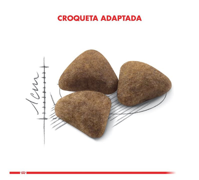 Royal Canin Indoor 10Kg Royal Canin Indoor 10Kg