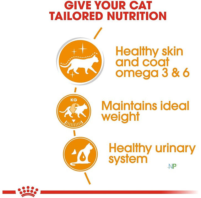 Royal Canin Gato Adulto Intense Beauty  Royal Canin Gato Adulto Intense Beauty