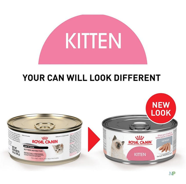 Royal Canin Latas Gatito Kitten 145Gr Pate  Royal Canin Latas Gatito Kitten 145Gr Pate