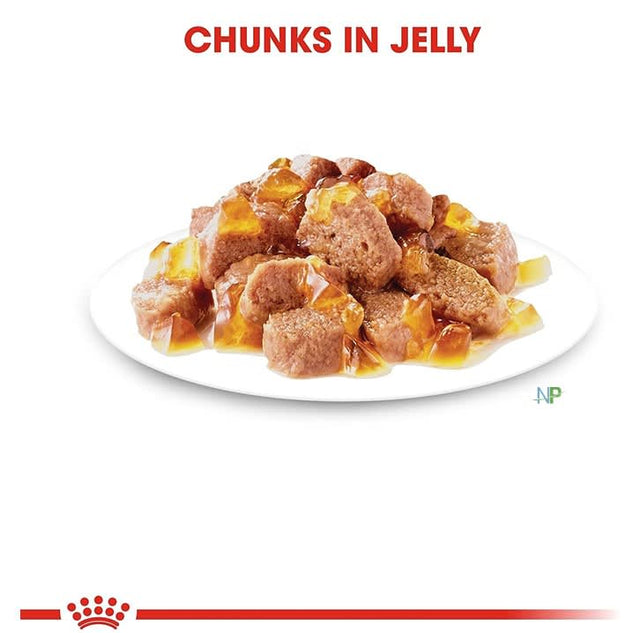 Royal Canin Gato Adulto Intense Beauty  Royal Canin Gato Adulto Intense Beauty