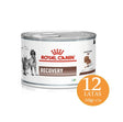 Royal Canin Latas Vet Diet Recovery Feline Canine 145Gr X 12 Unidades  Royal Canin Latas Vet Diet Recovery Feline Canine 145Gr X 12 Unidades