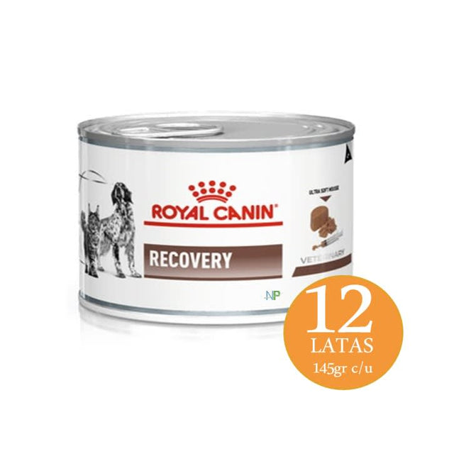 Royal Canin Latas Vet Diet Recovery Feline Canine 145Gr X 12 Unidades  Royal Canin Latas Vet Diet Recovery Feline Canine 145Gr X 12 Unidades
