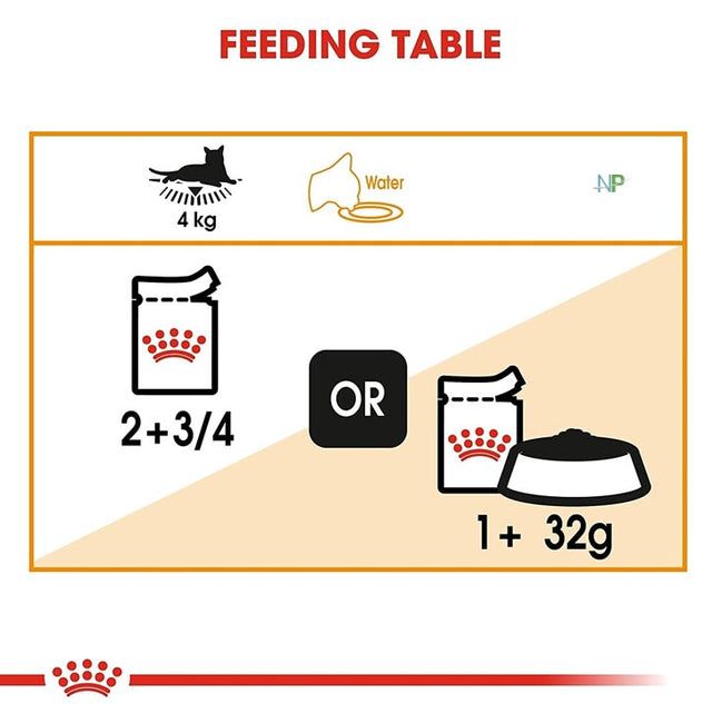 Royal Canin Gato Adulto Intense Beauty  Royal Canin Gato Adulto Intense Beauty