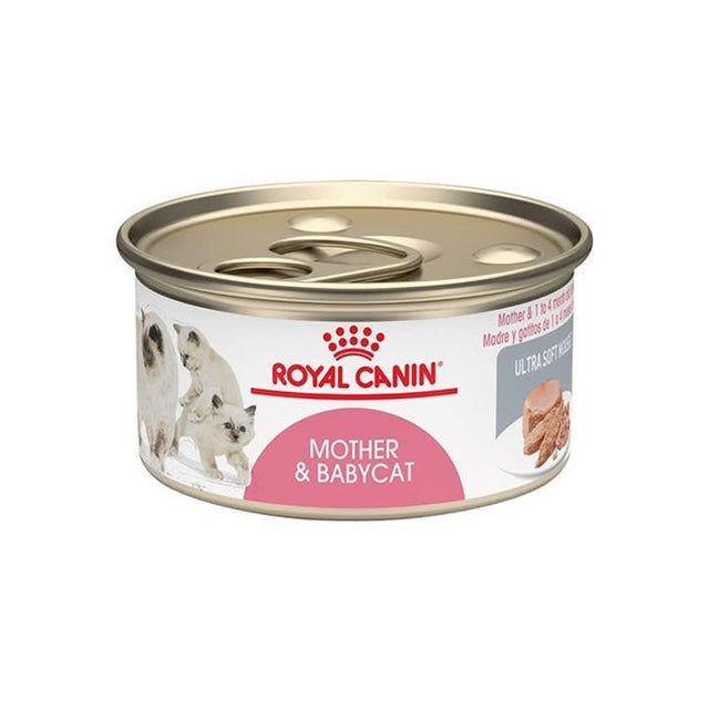Royal Canin Latas Gatito Mother Babycat 145Gr  Royal Canin Latas Gatito Mother Babycat 145Gr