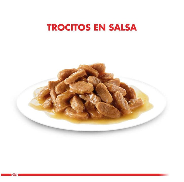 Royal Canin Cat Kitten Pouch 85Gr X 12 Unidades  Royal Canin Cat Kitten Pouch 85Gr X 12 Unidades