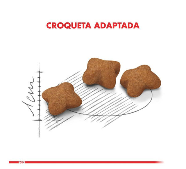 Royal Canin Kitten Sterilised 3 5Kg Royal Canin Kitten Sterilised 3 5Kg