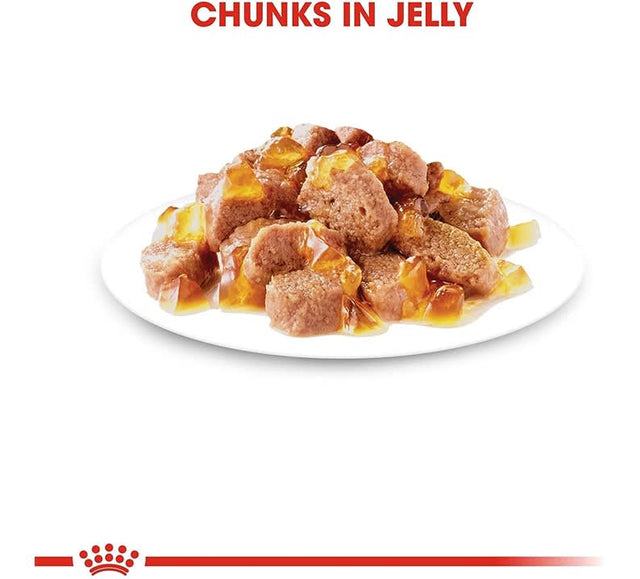 Royal Canin Gato Adulto Intense Beauty Pouch 85Gr X 12 Unidades  Royal Canin Gato Adulto Intense Beauty Pouch 85Gr X 12 Unidades