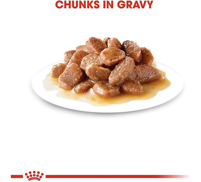 Royal Canin Cat 7 Pouch 85Gr X 12 Unidades  Royal Canin Cat 7 Pouch 85Gr X 12 Unidades