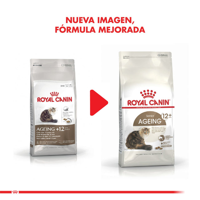Royal Canin Ageing 12 Anos 2Kg  Royal Canin Ageing 12 Anos 2Kg
