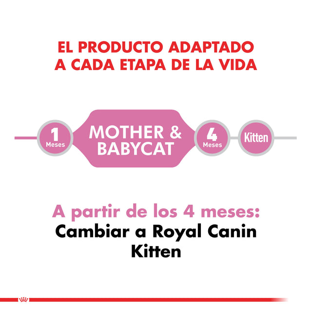 Royal Canin Mother And Babycat 1 5Kg Royal Canin Mother And Babycat 1 5Kg