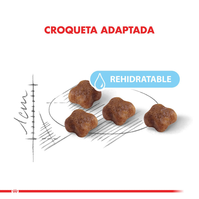 Royal Canin Mother And Babycat 1 5Kg Royal Canin Mother And Babycat 1 5Kg