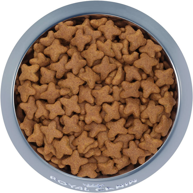 Royal Canin Beagle Adulto 3Kg Royal Canin Beagle Adulto 3Kg