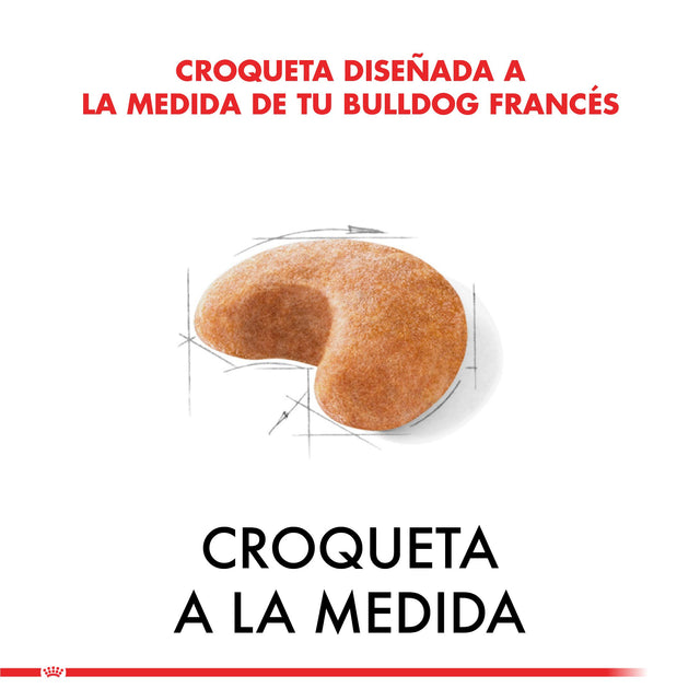 Royal Canin Bulldog Frances Adulto 3Kg Royal Canin Bulldog Frances Adulto 3Kg
