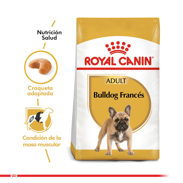 Royal Canin Bulldog Frances Adulto 3Kg Royal Canin Bulldog Frances Adulto 3Kg