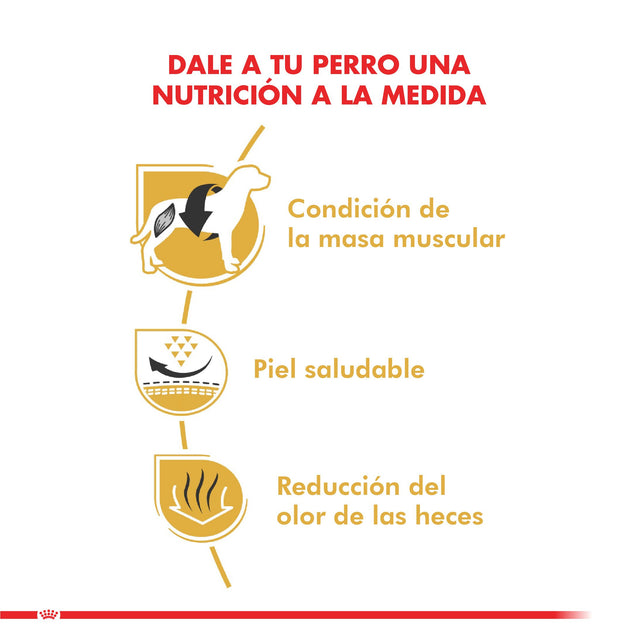 Royal Canin Bulldog Frances Adulto 3Kg Royal Canin Bulldog Frances Adulto 3Kg