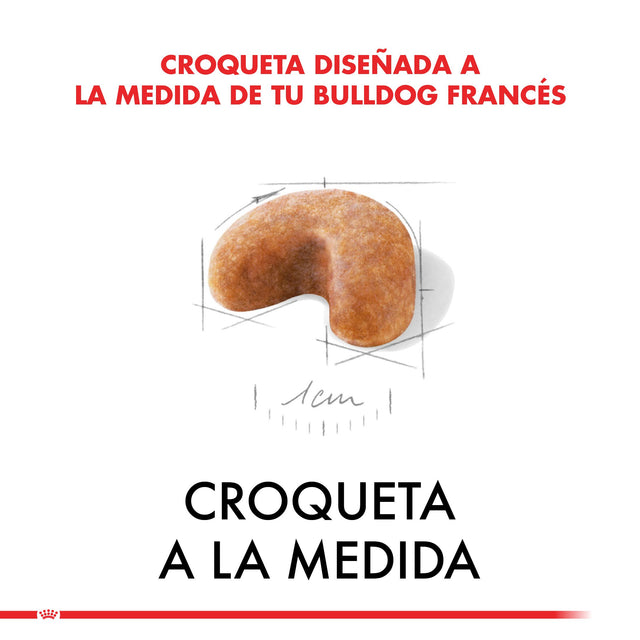 Royal Canin Bulldog Frances Junior 3Kg Royal Canin Bulldog Frances Junior 3Kg