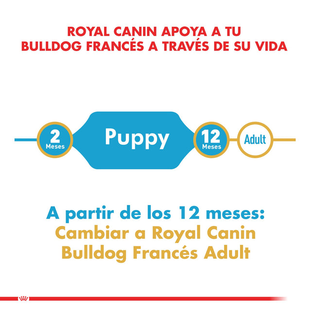 Royal Canin Bulldog Frances Junior 3Kg Royal Canin Bulldog Frances Junior 3Kg
