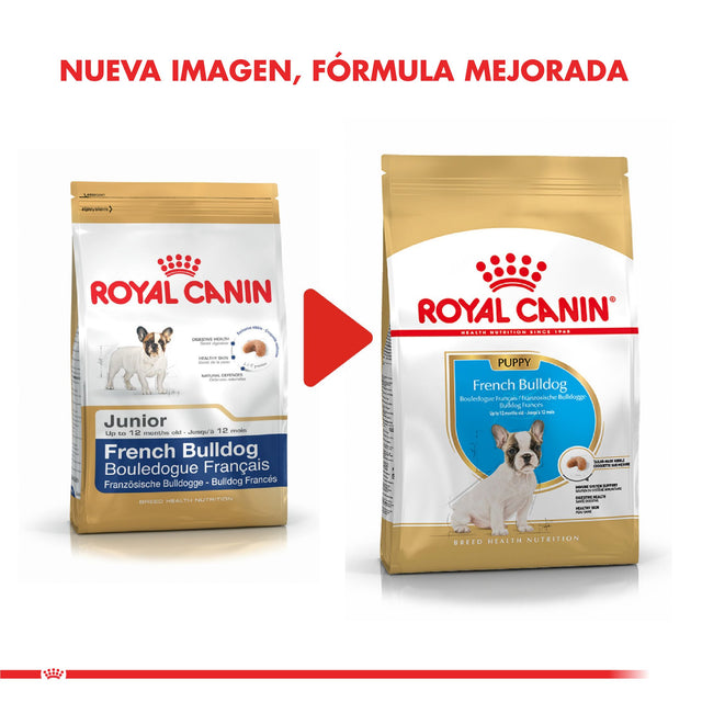 Royal Canin Bulldog Frances Junior 3Kg Royal Canin Bulldog Frances Junior 3Kg