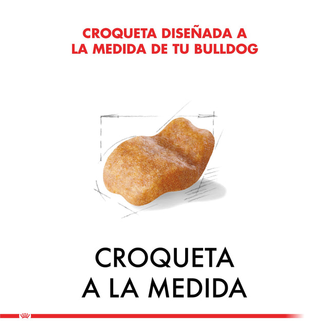 Royal Canin Bulldog Ingles Adulto 12Kg Royal Canin Bulldog Ingles Adulto 12Kg