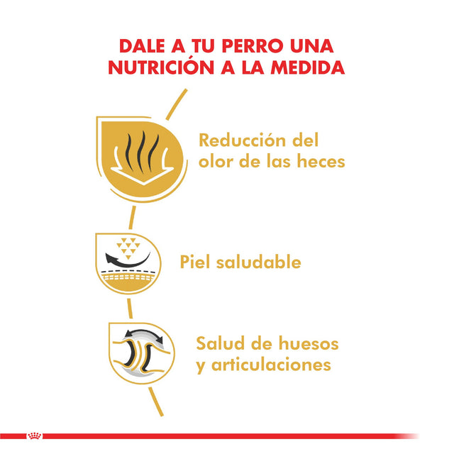 Royal Canin Bulldog Ingles Adulto 12Kg Royal Canin Bulldog Ingles Adulto 12Kg