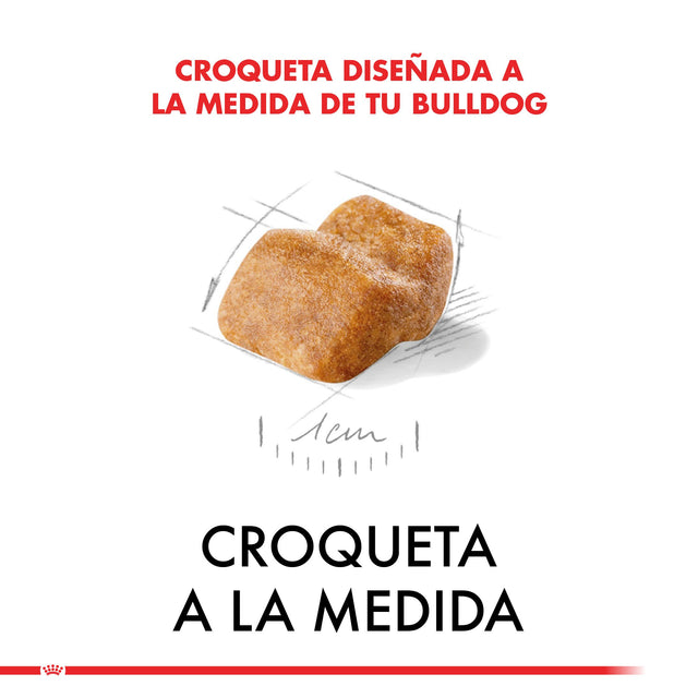 Royal Canin Bulldog Ingles Junior 12Kg Royal Canin Bulldog Ingles Junior 12Kg