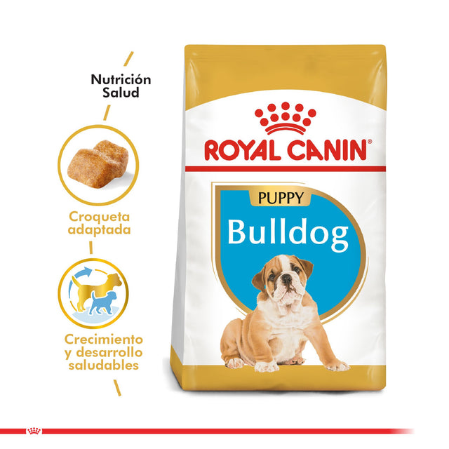 Royal Canin Bulldog Ingles Junior 12Kg Royal Canin Bulldog Ingles Junior 12Kg