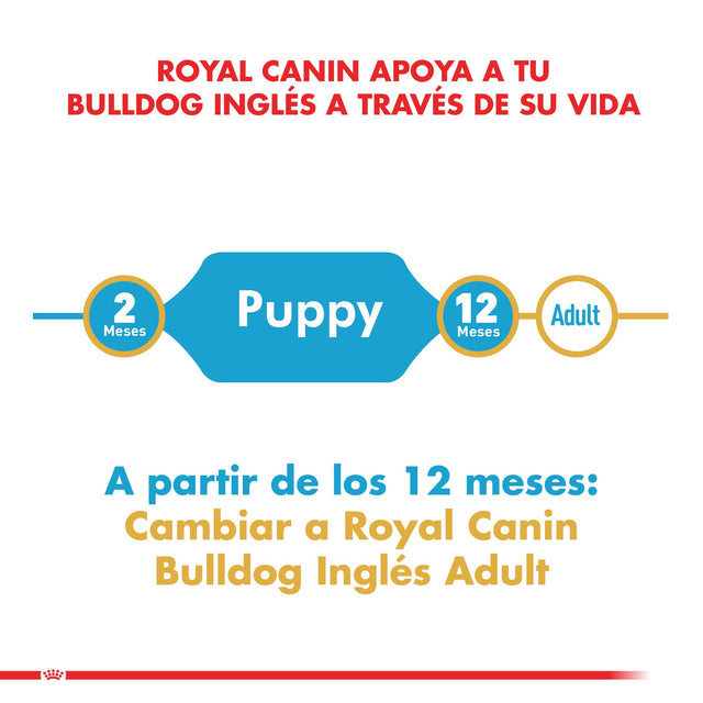 Royal Canin Bulldog Ingles Junior 12Kg Royal Canin Bulldog Ingles Junior 12Kg