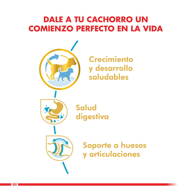 Royal Canin Bulldog Ingles Junior 12Kg Royal Canin Bulldog Ingles Junior 12Kg