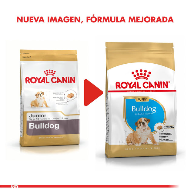 Royal Canin Bulldog Ingles Junior 12Kg Royal Canin Bulldog Ingles Junior 12Kg