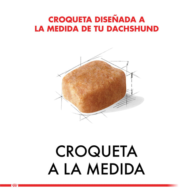 Royal Canin Dachshund Teckel 2 5Kg Royal Canin Dachshund Teckel 2 5Kg