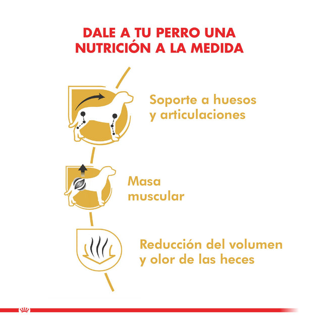 Royal Canin Dachshund Teckel 2 5Kg Royal Canin Dachshund Teckel 2 5Kg