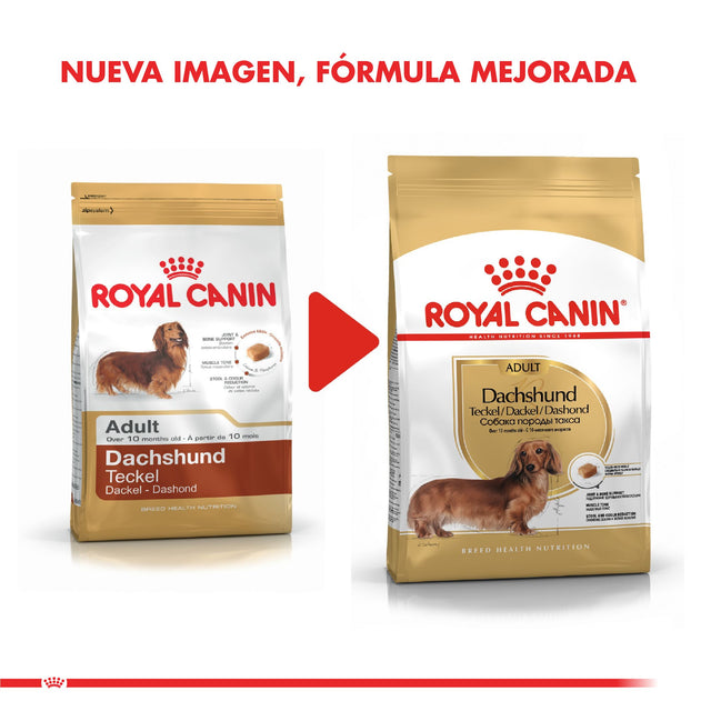 Royal Canin Dachshund Teckel 2 5Kg Royal Canin Dachshund Teckel 2 5Kg