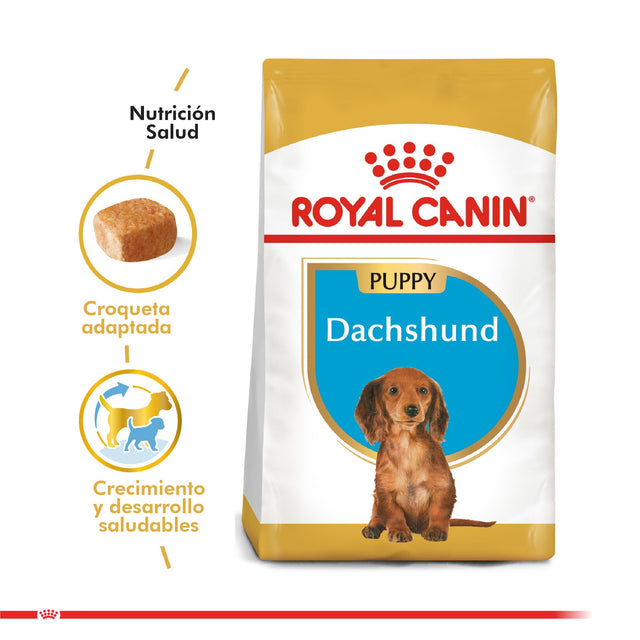Royal Canin Dachshund Teckel Junior 3Kg Royal Canin Dachshund Teckel Junior 3Kg