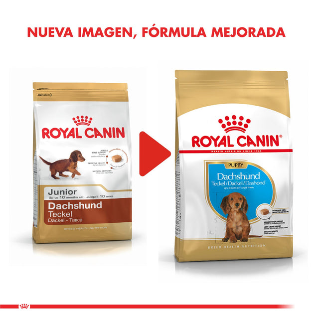 Royal Canin Dachshund Teckel Junior 3Kg Royal Canin Dachshund Teckel Junior 3Kg