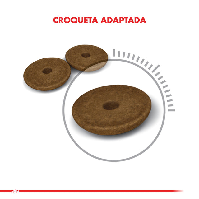 Royal Canin Gato Digestive 1 5Kg  Royal Canin Gato Digestive 1 5Kg