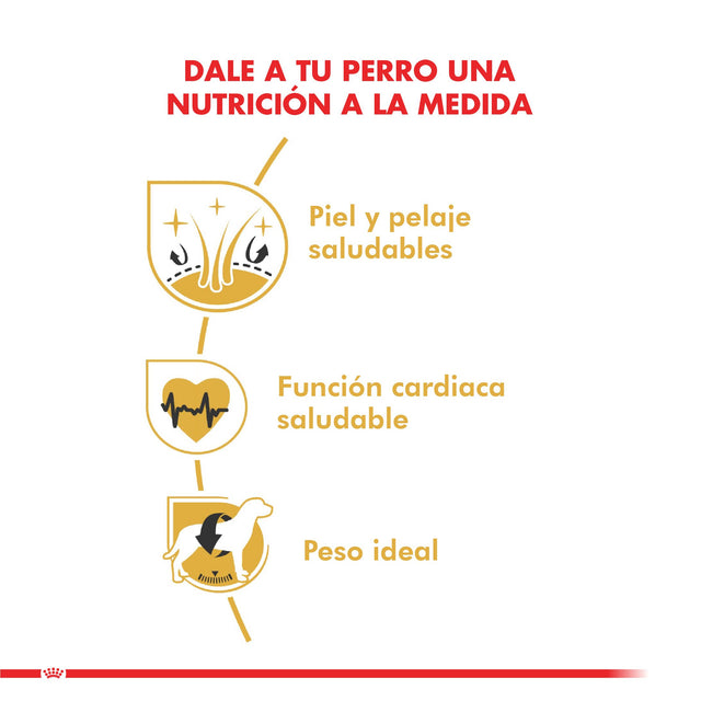 Royal Canin Golden Retriever Adulto 12Kg Royal Canin Golden Retriever Adulto 12Kg