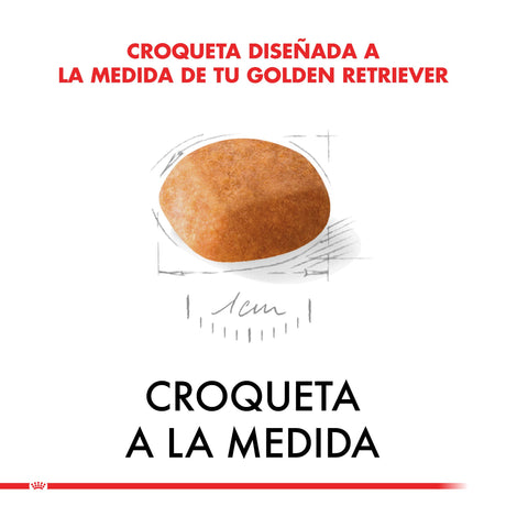 Alimento para Perros Royal Canin Golden Retriever Junior 12Kg Alimento para Perros Royal Canin Golden Retriever Junior 12Kg