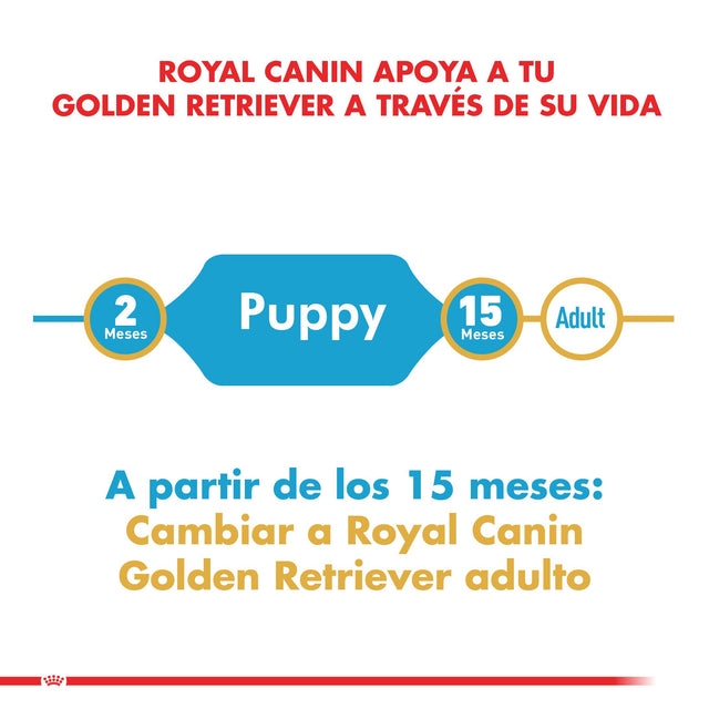 Royal Canin Golden Retriever Junior 12Kg Royal Canin Golden Retriever Junior 12Kg
