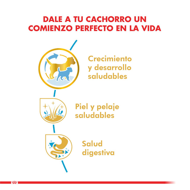 Royal Canin Golden Retriever Junior 12Kg Royal Canin Golden Retriever Junior 12Kg